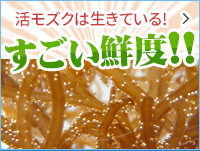 活もずくは生きている!すごい鮮度!!