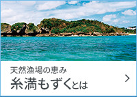 天然漁場の恵み 糸満もずくとは