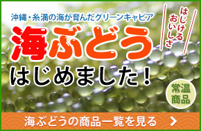 はじけるおいしさ|海ぶとうはじめました!